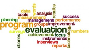 program-evaluation-wordle